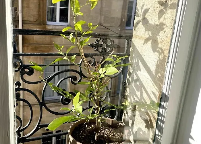 Appt Xviii Centre Historique Rue Du Cloitre * Bordeaux