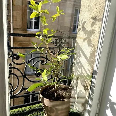 Appt Xviii Centre Historique Rue Du Cloitre * 보르도